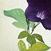 Hiroaki Miyayama Gallery